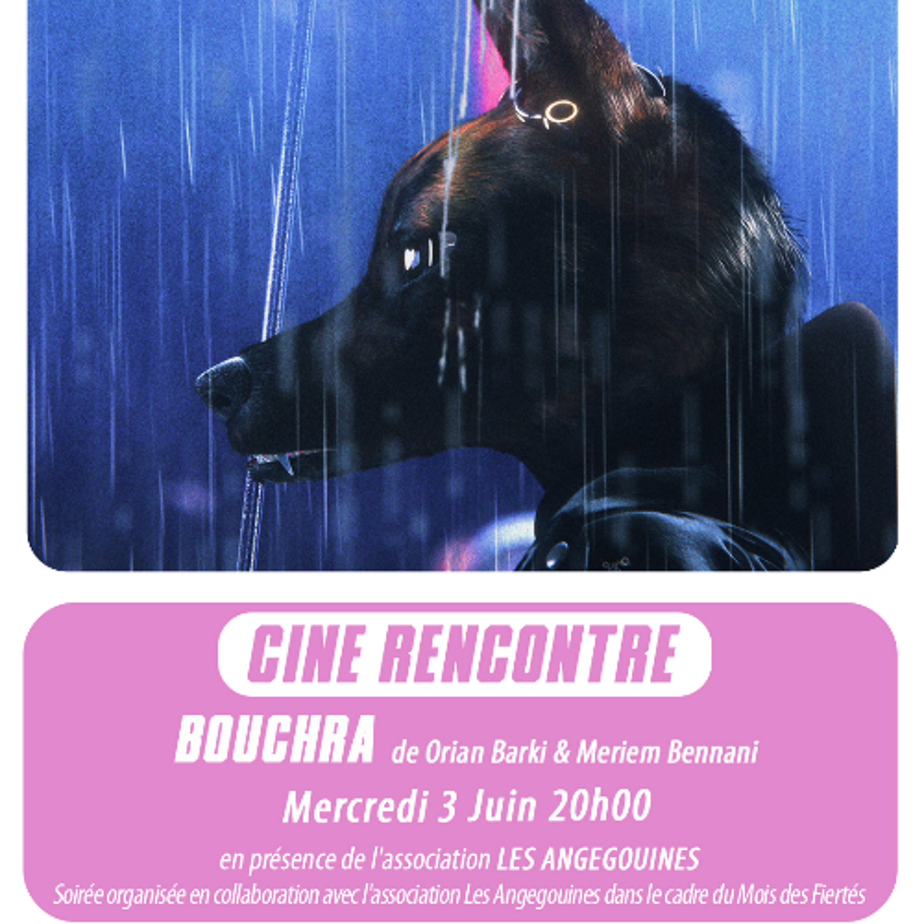 Bouchra-presentation-03.06.26 episode artwork