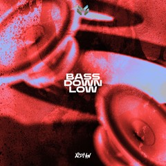 BASS DOWN LOW (Never on Spotify)THANKS 15K <3