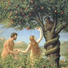 FORBIDDEN FRUIT