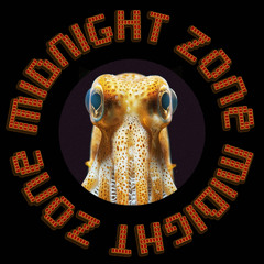 MIDNIGHT ZONE EP 1 - ZIPPEEE