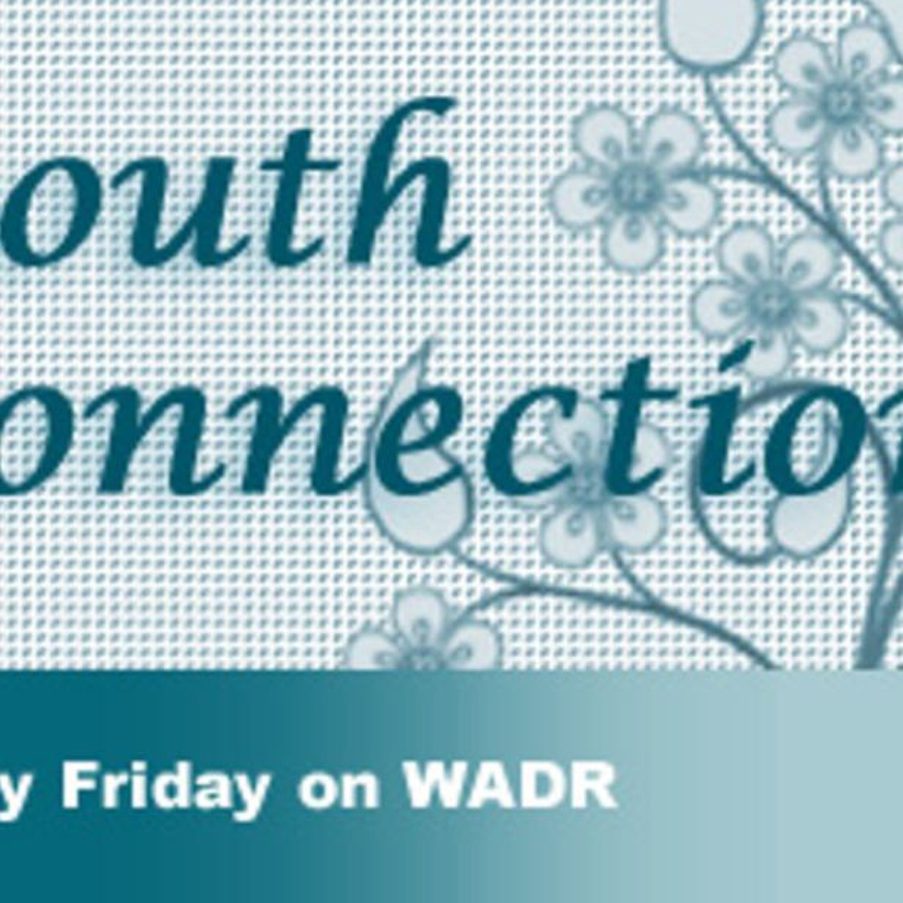 Youthconnection042211 episode artwork