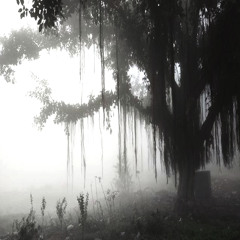 New private playlist