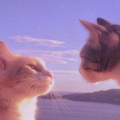 My new new new playlist