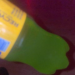 Hollon