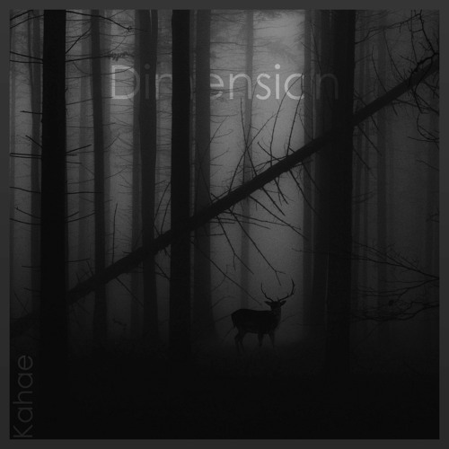 Dimension