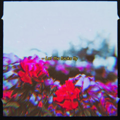 Let the f*cks fly (prod.ricci)