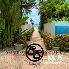 The Playground: Vol. 35 (Island Vibes)