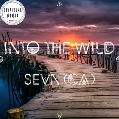 " Into the Wild " Nomadcast 17 by SEVN (CA)