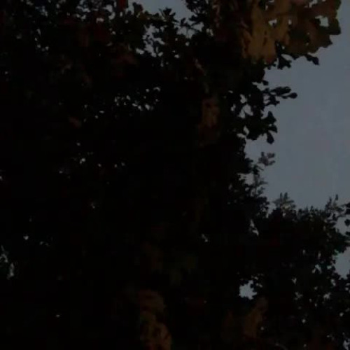Gracie Abrams - Summer Ends (Unreleased)