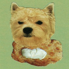 SUSU und BOCU live in Leipzig 25.10.2024