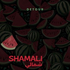 Shamali - شمالي - Detour (Afro House)