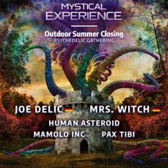 Human Asteroid at Mystical Experience Oct 2025