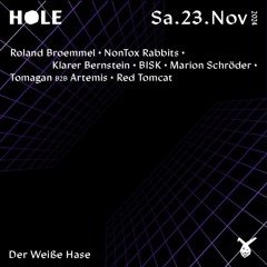 Weißer Hase 23.11.2024