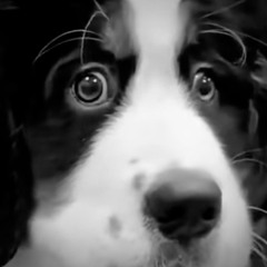 Keys dont match (Quommode Remix)