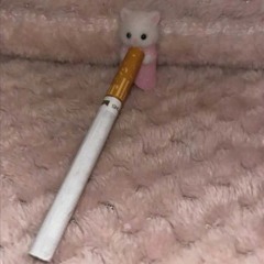 * ੈ✩‧₊˚* ੈ✩‧₊