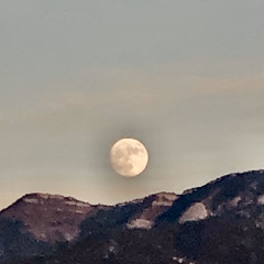 isnt the moon beautiful