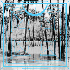 Four Tet x Jamie XX x Stephan Bodzin - Lion (Daniel Rose Blooms edit)
