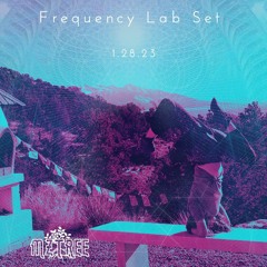 Frequency Lab ~ Winter '23