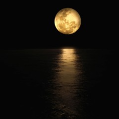 in The Moonlight