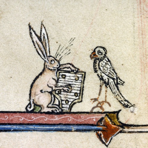 Rabbits & Parrots