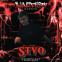stvø bynofest guestmix