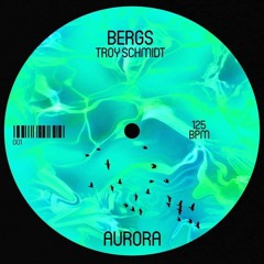 BERGS & Troy Schmidt - Aurora (Original Mix)