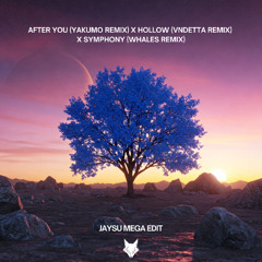 After You (Yakumo Remix) x Hollow (VNDETTA Remix) x SYMPHONY (WHALES Remix)