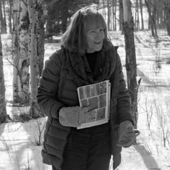 Populus tremuloides: Marilyn Martorano