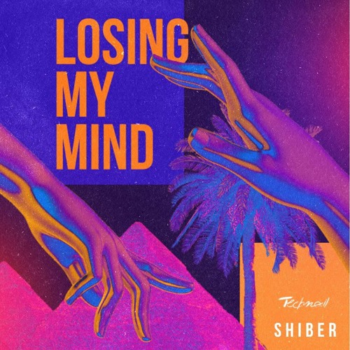 SHIBER - Losing My Mind (orginal Mix)
