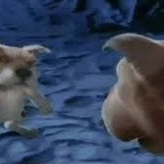RATS ON MA JOC!