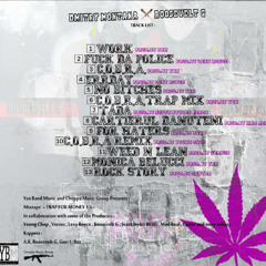 Mesaj Celor Care M-a Critica  partea 2 [ MCCMC 2 ] Trap For Money 1.5 / 2013