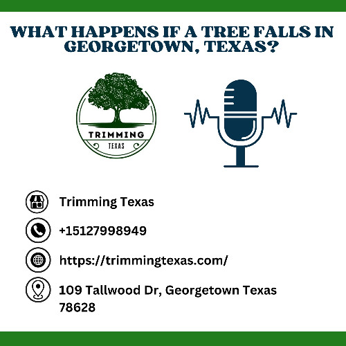 What Happens If a Tree Falls in Georgetown, Texas?