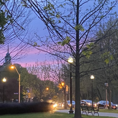 LIGHT UP ft SosaDaVinci Rico Phantom, TopiK