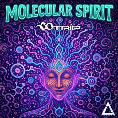 Molecular Spirit