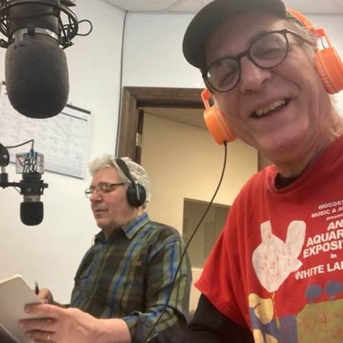 Stream SPACE President says Zoom town meetings needed as Court