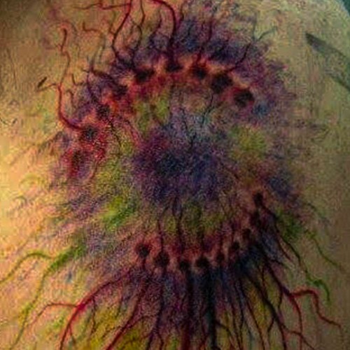 flexsin x shynin9s - 2muchdrank