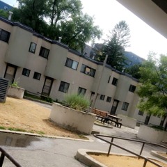 Run It Up (Tryna get it)