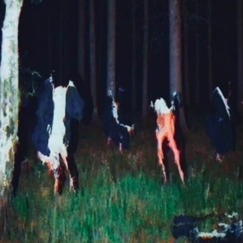 Dereos
