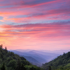Overlook