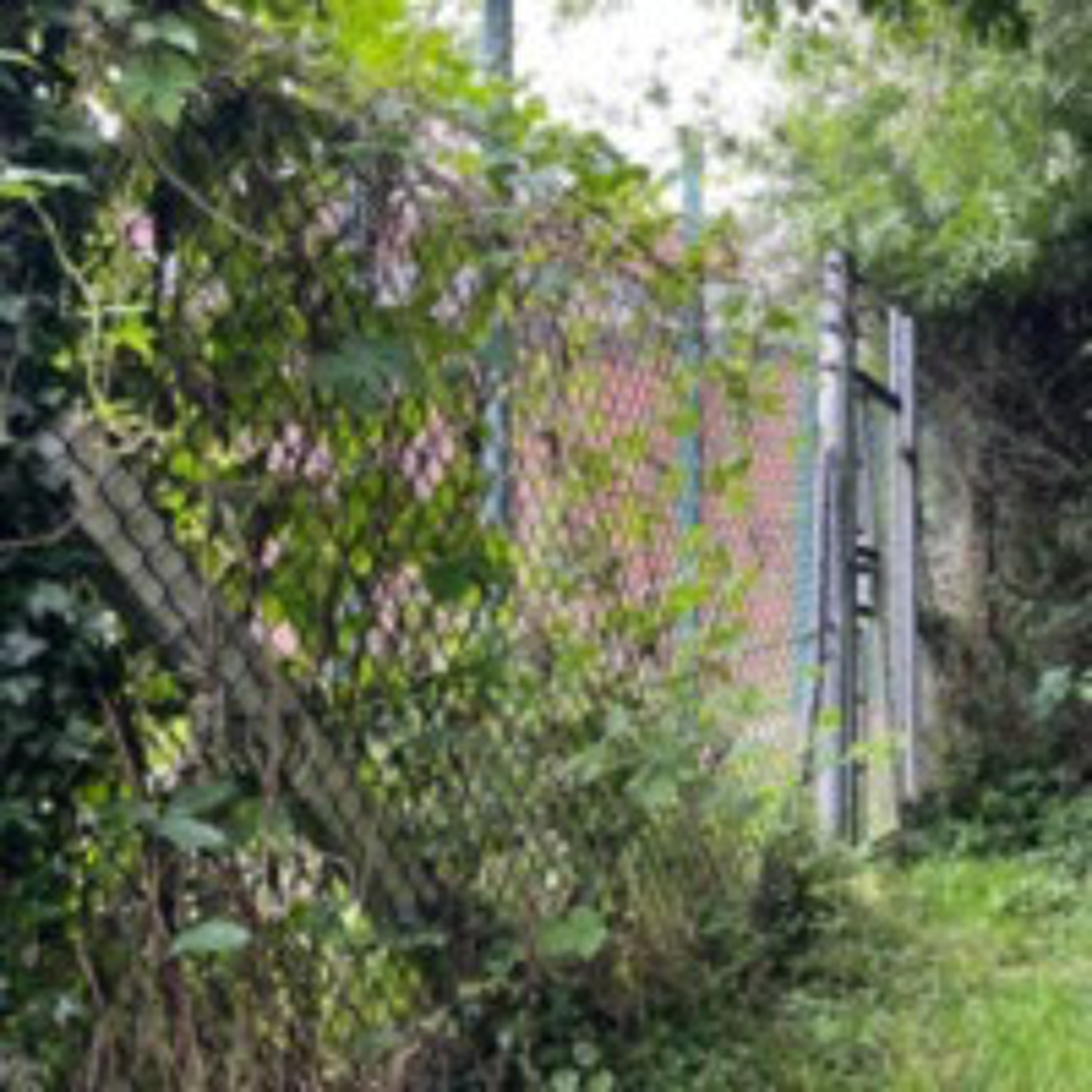 Alton Water Treatment Works, 20th June 2024 episode artwork