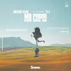 Nostalgic Feeling & Tc-5 - Mr. Cupid (ft. Sandra Garupe)
