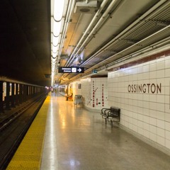 Water bottle, and a lighter