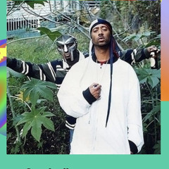 Summer Fall Winter Spring MF DOOM