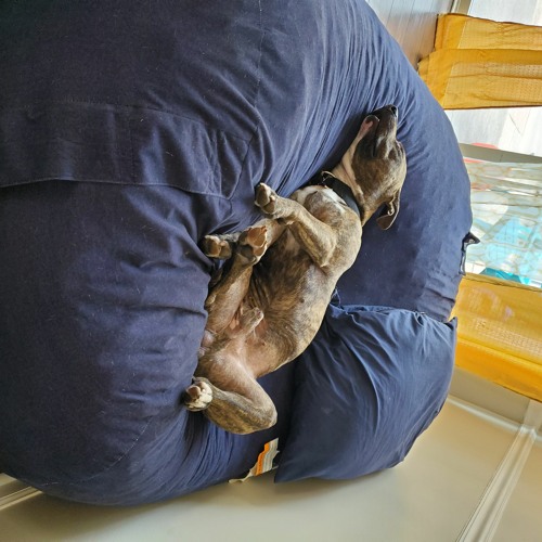 Mystic the Goat - Tired Hours