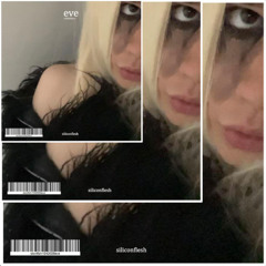 siliconflesh - falling (aucsi remix)