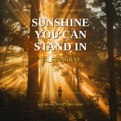 Sunshine You Can Stand In