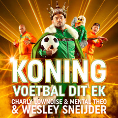 Hollandse Voetbal Hits