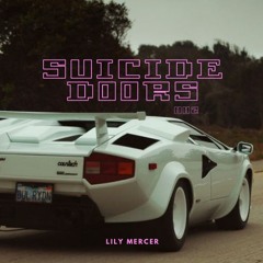 SUICIDE DOORS 2