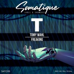 Tomy Wahl - Blind [Somatique Music]
