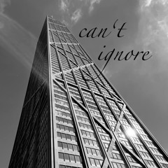 iN†iMØ - can't ignore